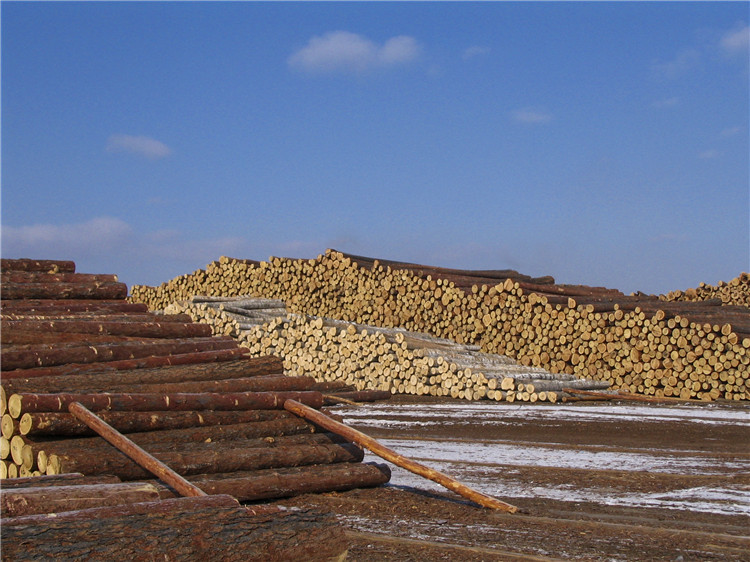 實(shí)木運(yùn)動地板工廠