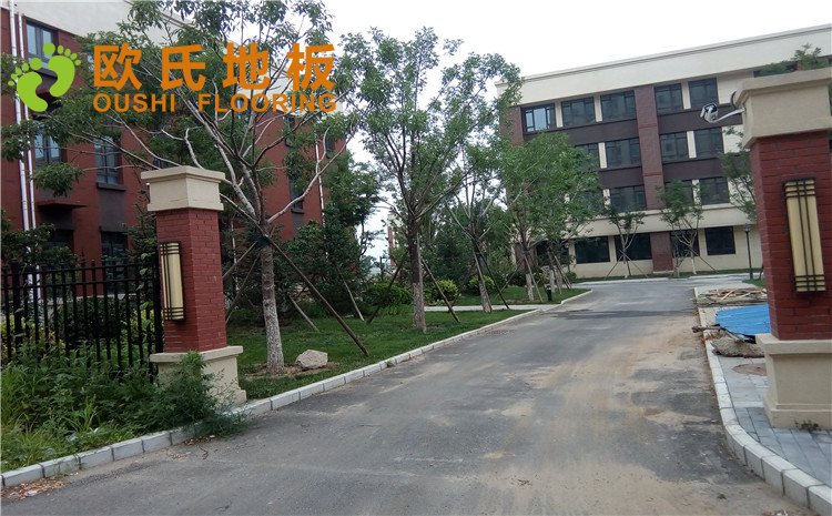 北京順義區(qū)天順小學(xué)籃球館木地板圖片