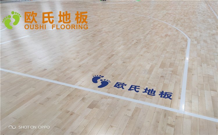 西寧市世紀(jì)職業(yè)技術(shù)學(xué)?；@球訓(xùn)練館木地板圖片